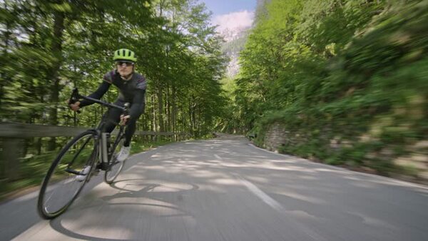 Cyclist riding on a tree-lined road during the day